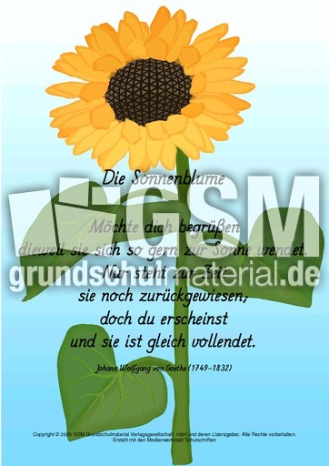 V-Die-Sonnenblume-Goethe.pdf